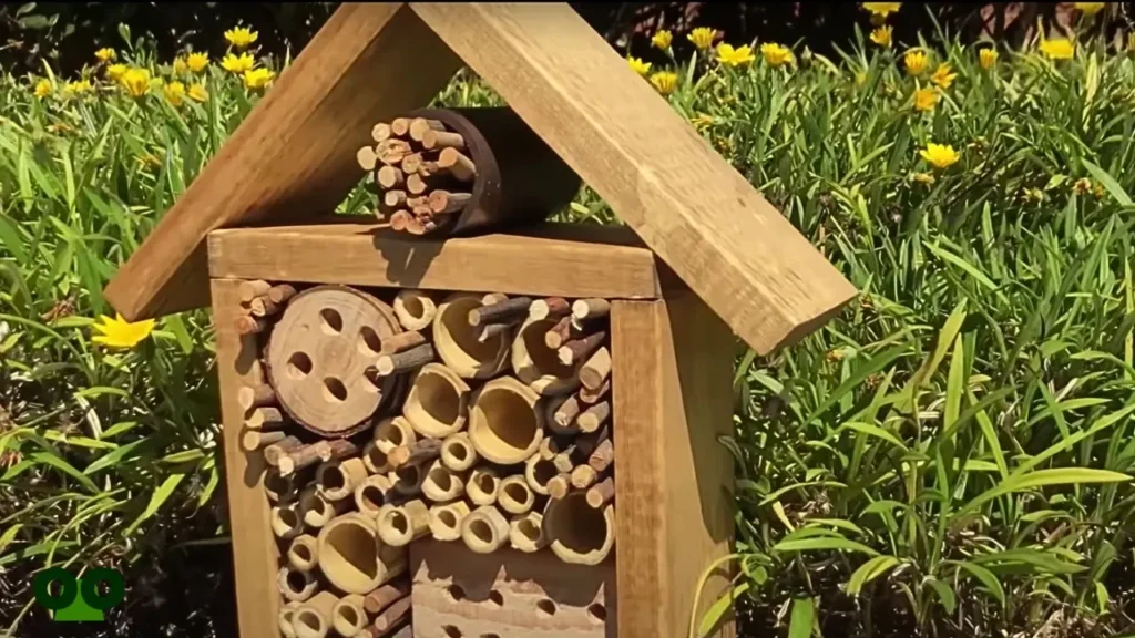 Choosing the Right Location for Your Insect Hotel