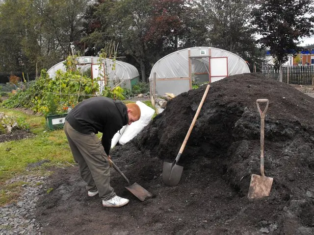 How To Harvest Compost