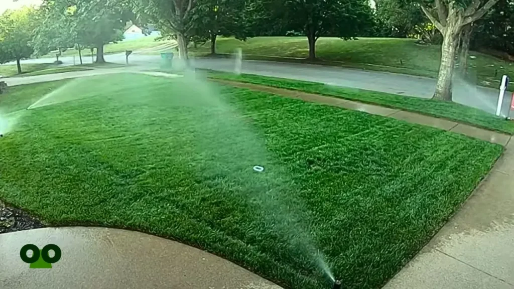 When and How Often to Water Your Lawn