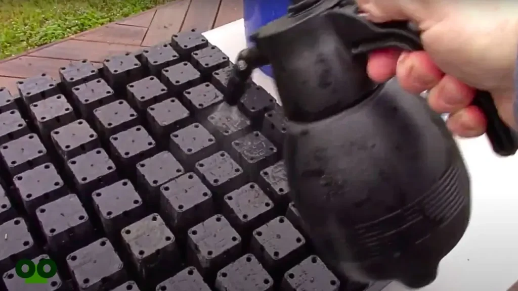 Sanitizing Seed Trays and Containers copy