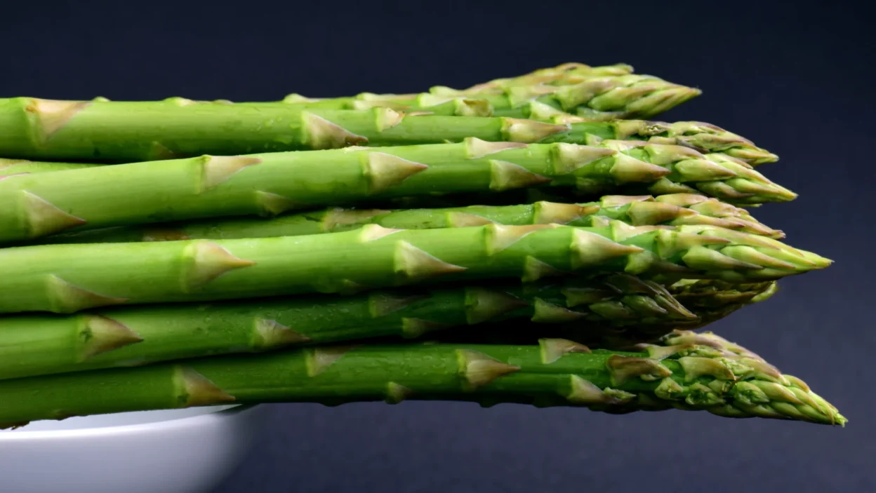 WHEN AND HOW TO TRANSPLANT ASPARAGUS